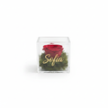 Box Plexiglass con Nome Frontale
