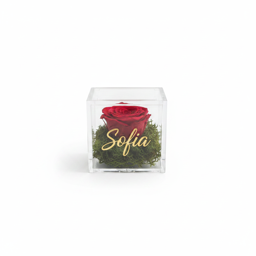 Box Plexiglass con Nome Frontale