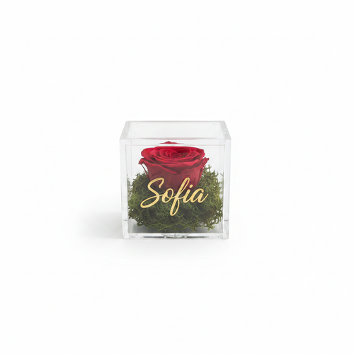 Box Plexiglass con Nome Frontale