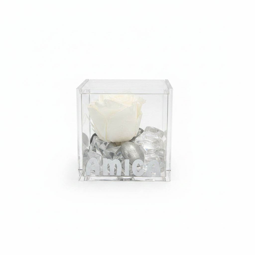 Cubo Amica - sfondo bianco