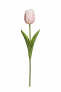 Tulipano Real Touch Rosa