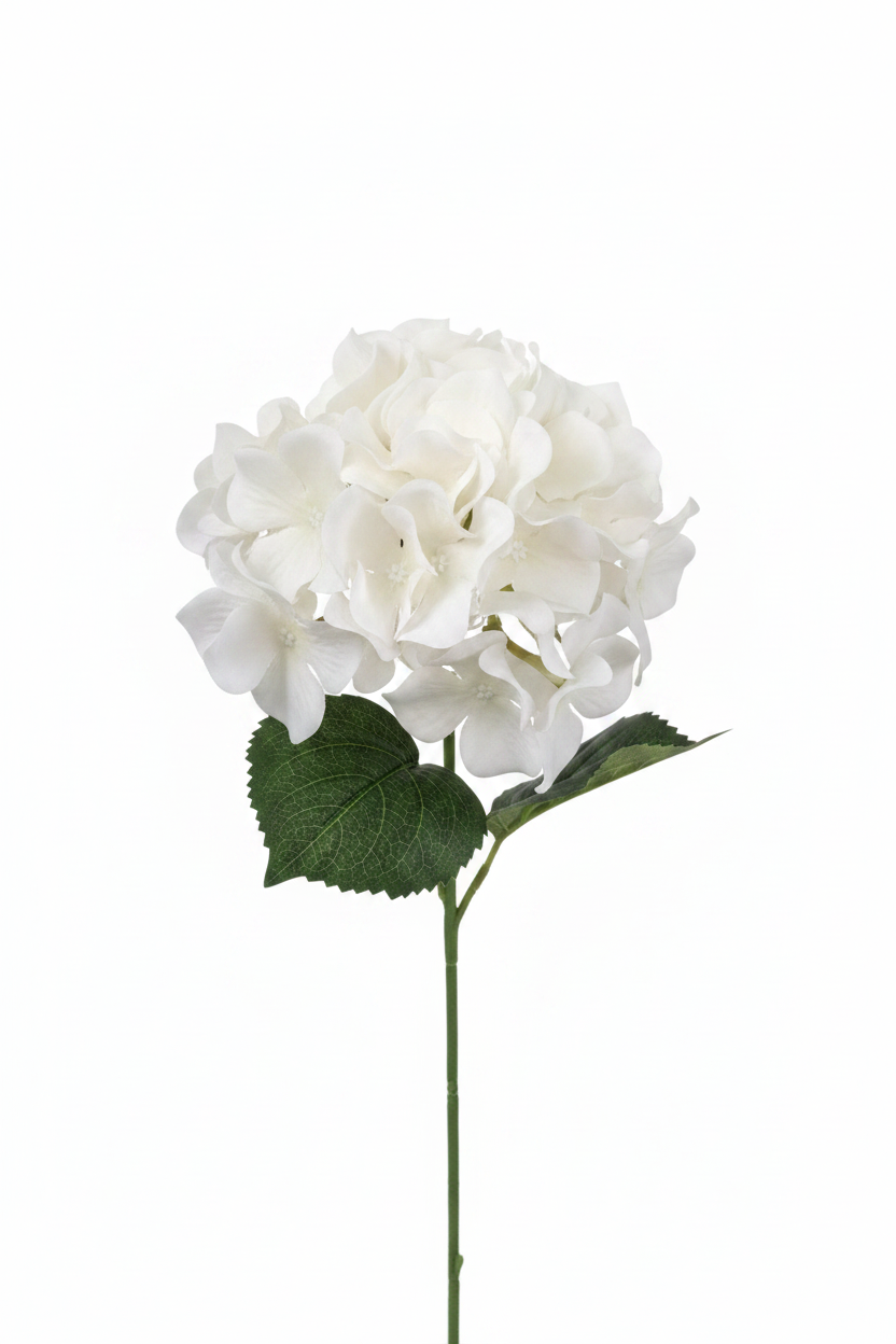 Ortensia Artificiale Bianca