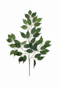 Ramo di Ficus Artificiale