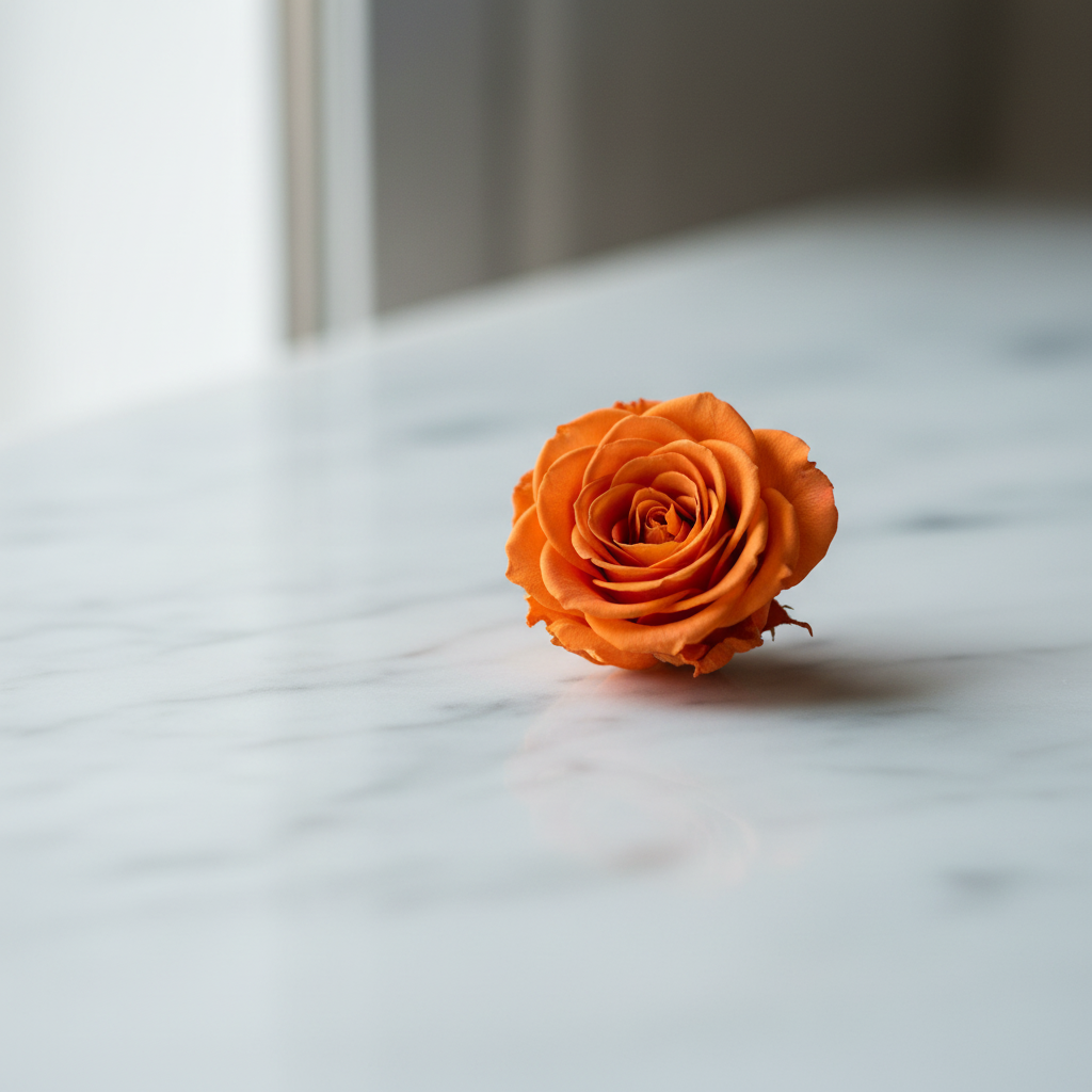 Scatola 16 Rose Stabilizzate Arancio