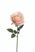 Rosa Artificiale Cipria